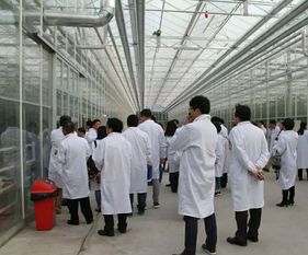 永通科技亮相京津冀，共探蔬菜工廠化生產新路徑